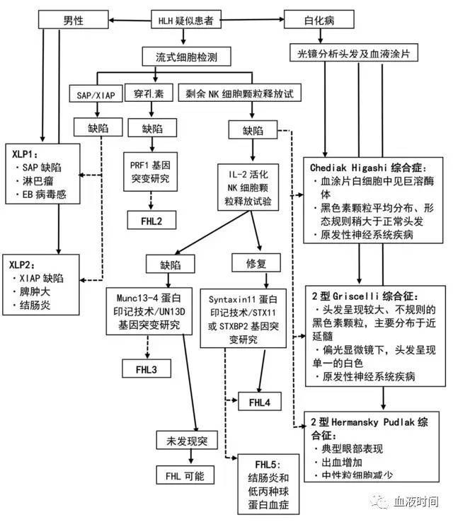 失控的免疫反应:噬血细胞综合征