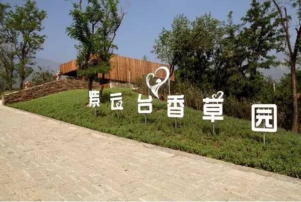 京郊薰衣草乐园，花儿都开好了 快去拍照吧[墙根网]