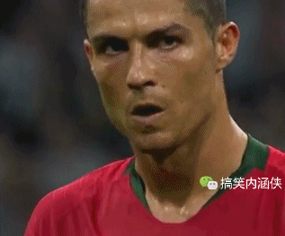 搞笑趣图 每一届世界杯,朋友圈的球迷们都蠢蠢