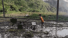 穷人家的孩子早当家