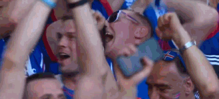 gif-逼平上届亚军 冰岛球迷兴奋庆祝