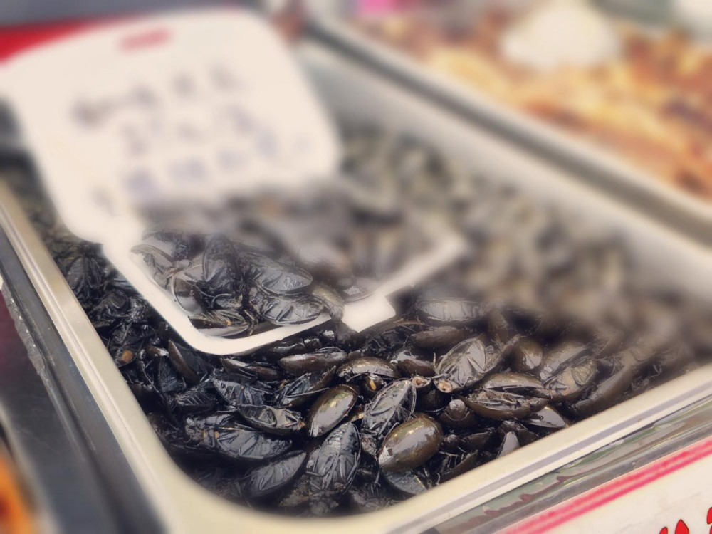 在道滘這個美食天堂，隨手一拍都是滿屏的誘惑