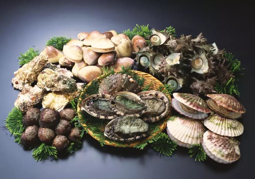 近期谨慎食用贝壳类海鲜产品!