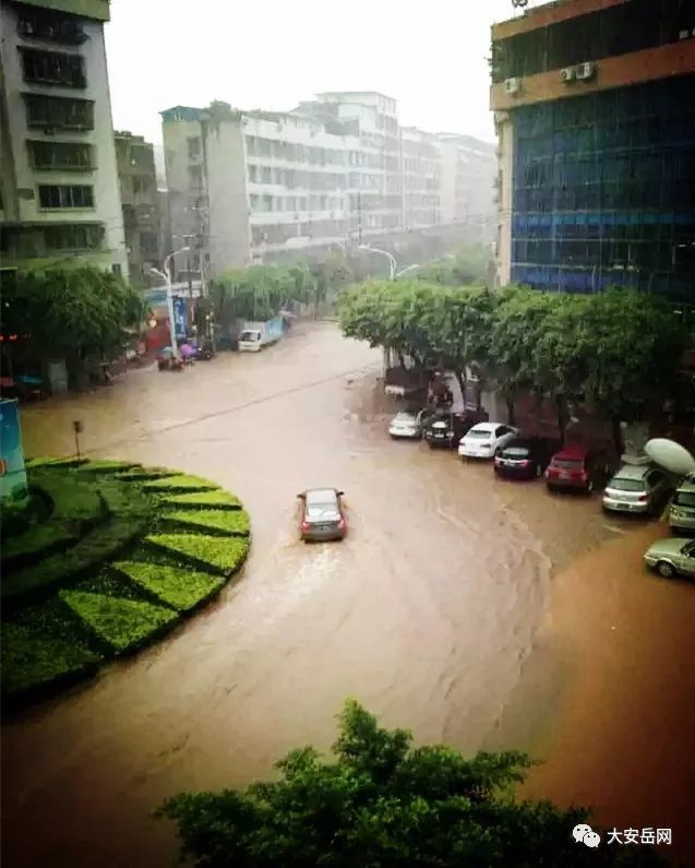 重磅消息 安岳是建设海绵城市试点县之一 正在悄悄的 看点快报