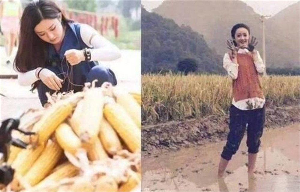 明星回老家!赵丽颖剥玉米,刘强东带人民币,网友