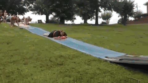 搞笑gif:第一次来相亲,看到坐在对面的姑娘我脸都红了