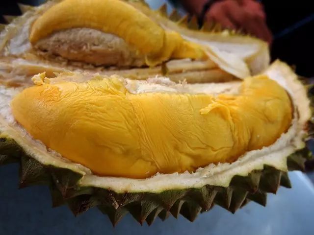 全世界最好吃的榴莲还没引进中国,但这份专业级榴莲地图已经给你准备