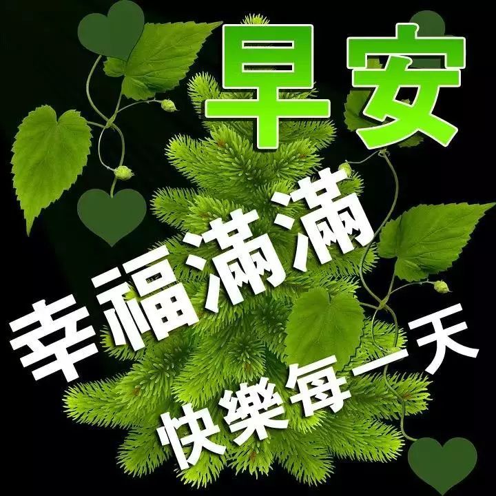 早上好动态表情包 微信早上好动态图片