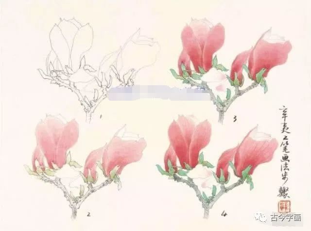 工笔花卉常见实用技法图文详解,工笔花卉设色技法步骤