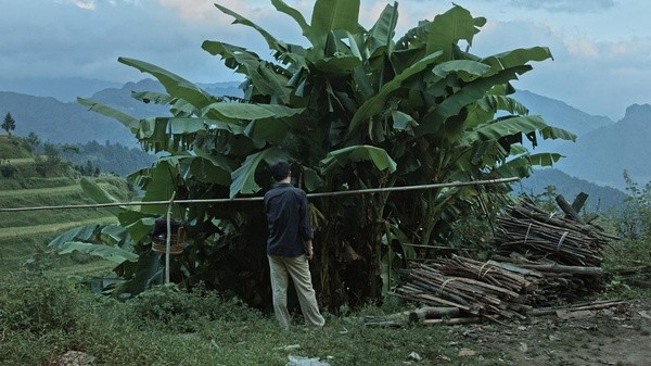 《路边野餐》：名利•吹嘘•才华•诗意•创新