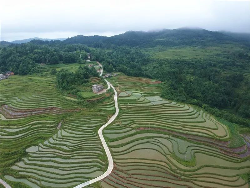 龙里县,梯田,洗马镇,关口村
