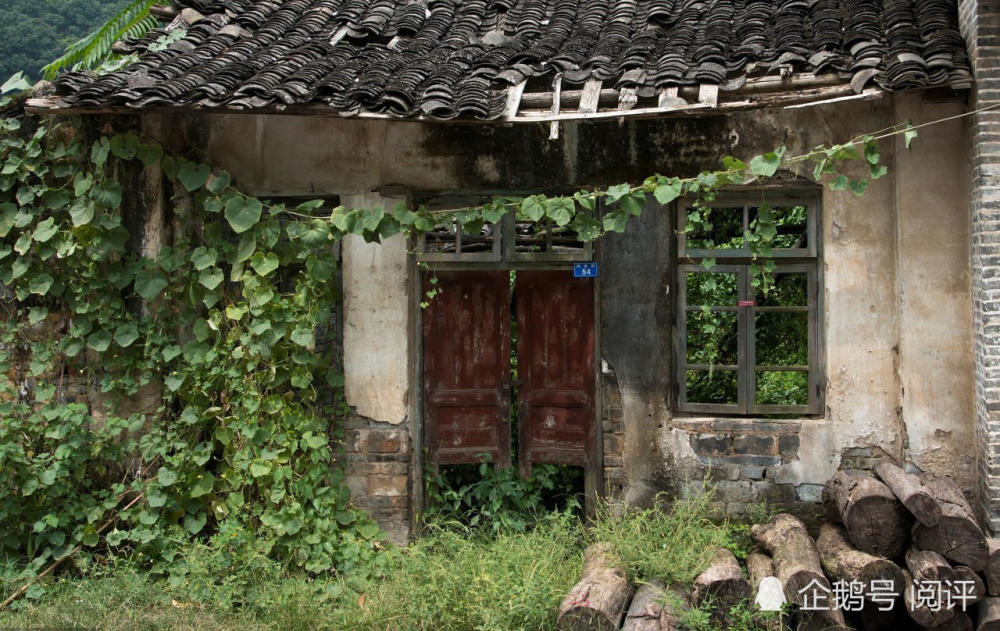 实拍:废弃的村庄人去房空,人迹罕至的老屋,你敢一个人