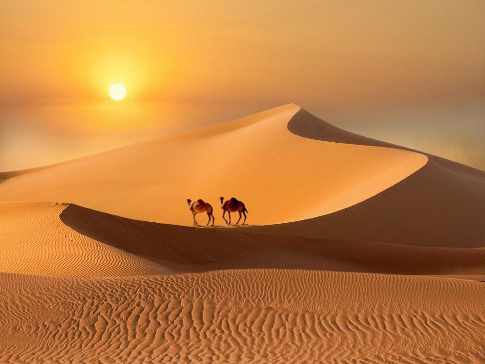 沙漠里阳光照射时间这么长,为什么不安装太阳能呢?看完值得思考