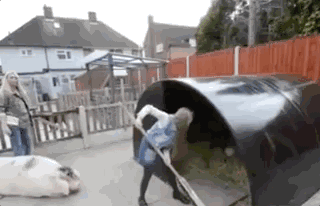 她每天都会把猪圈整理的干干净净～   在很多人眼里,猪都是又笨又