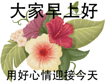 初三漂亮早上好动态表情图片 最美早晨问候动态图片表情