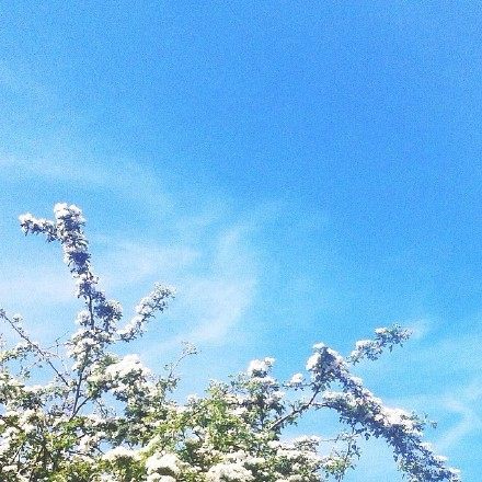 最近快手很火的句子,句句写进心窝里!