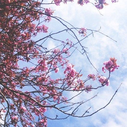 最近快手很火的句子,句句写进心窝里!