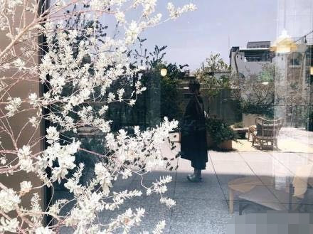 林宥嘉将迎来家庭新成员，网友：期待林爸爸上线