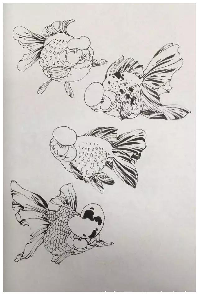 金鱼素描赏析