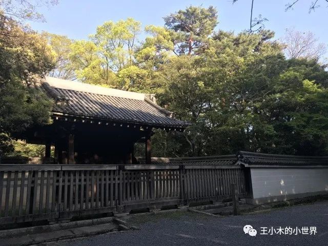 第一次京都游 看点快报