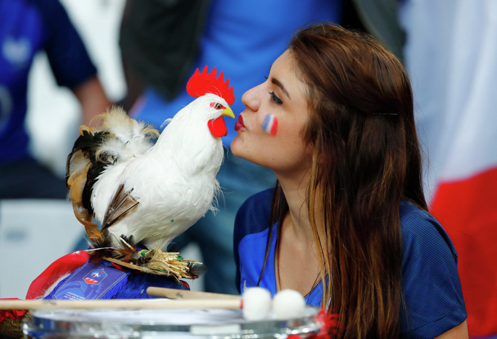 法国球迷带了只高卢雄鸡,想进世界杯现场为国