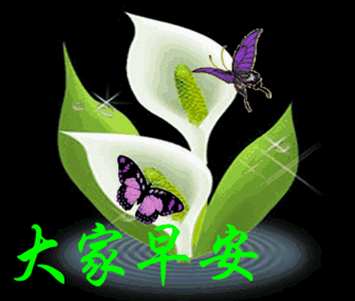 2019最新早晨好动态图片表情,2019最美早上好表情图片