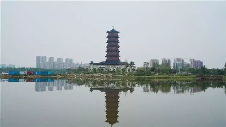 走,去孝妇河湿地公园转转!