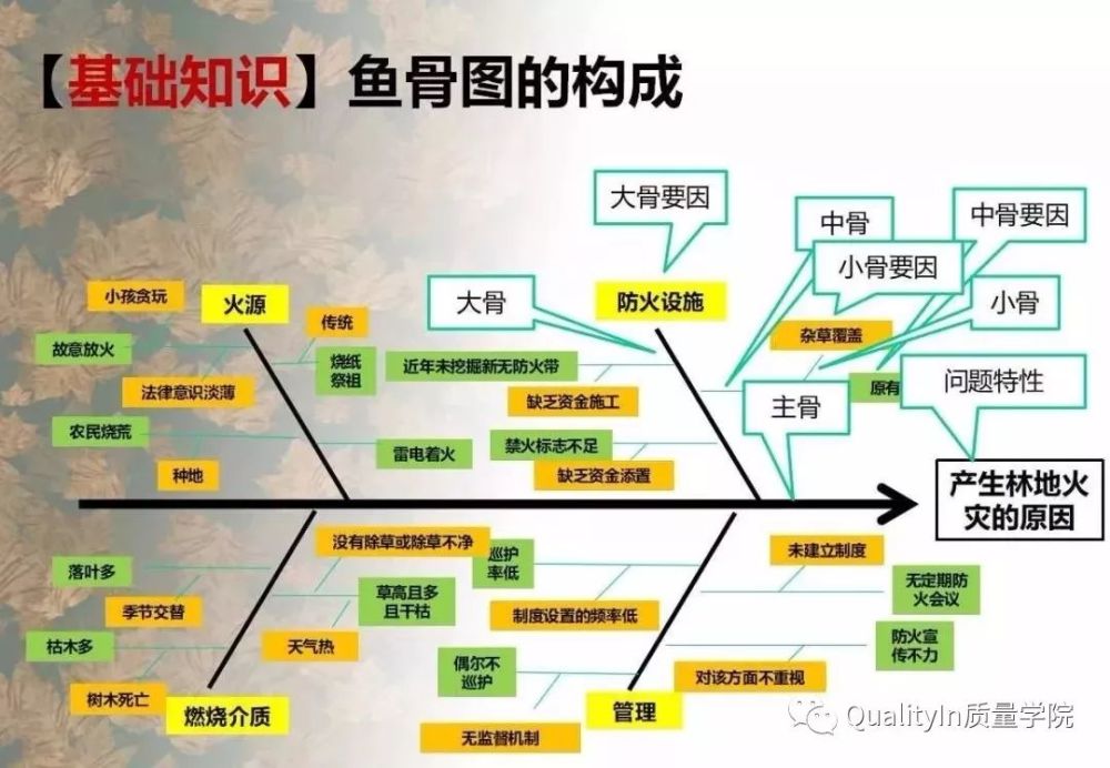 鱼骨图分析法知识共享包