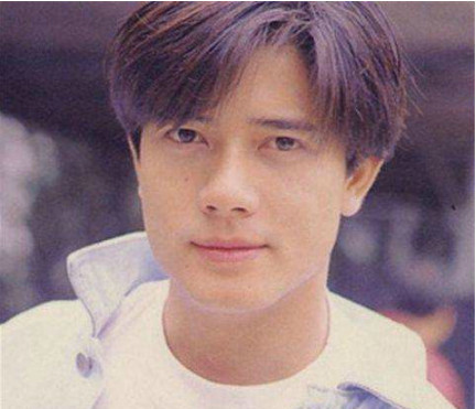 当红时期的林志颖,陈冠希,金城武,郭富城,哪一个