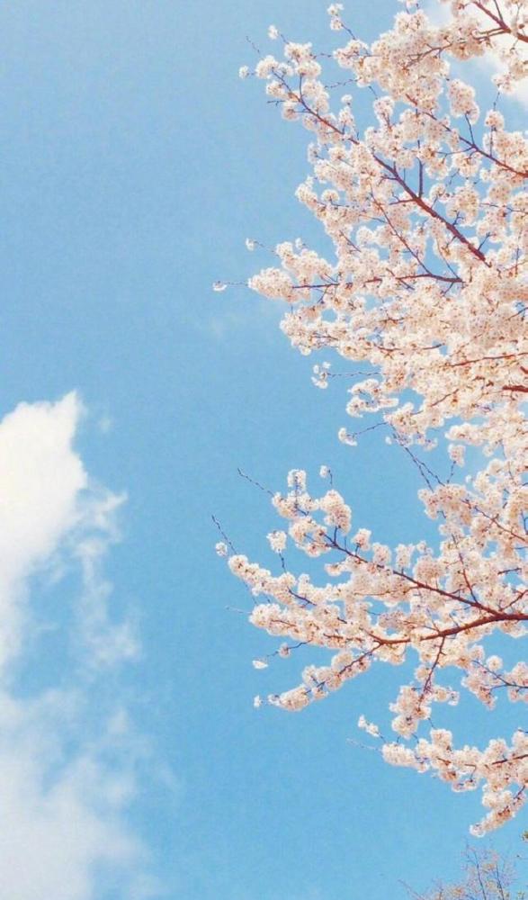 夏日唯美壁纸—蓝蓝的天空,深深的思念,美好如期而至