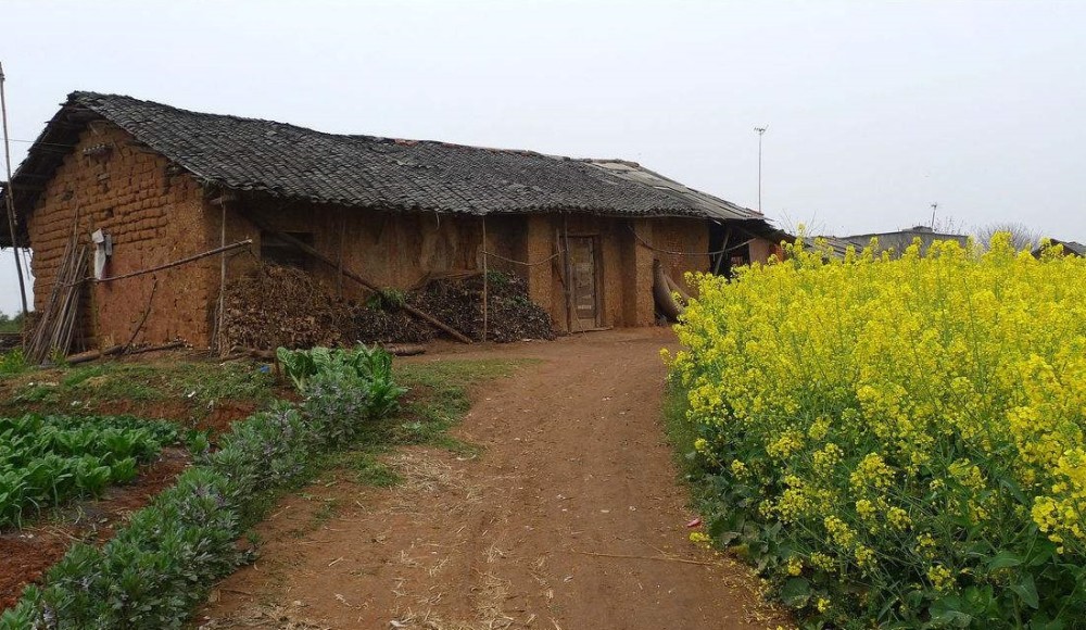 北大寒门博士自比爱因斯坦,却在农村啃老17年