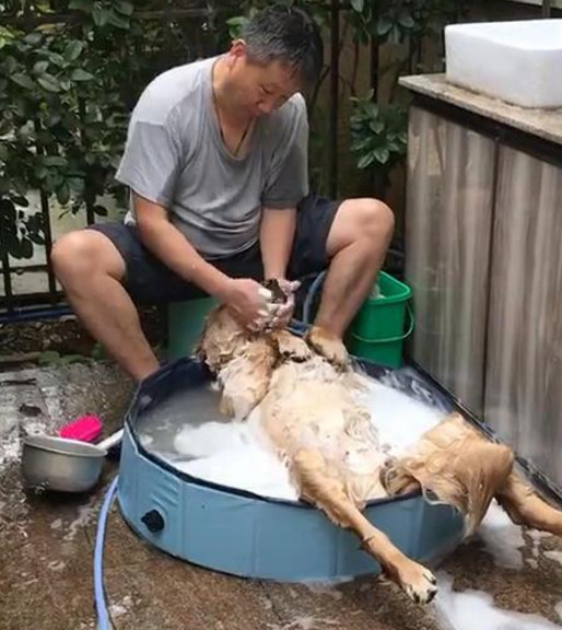 带狗狗回家后跟老爸冷战一个月 半年之后 老爸