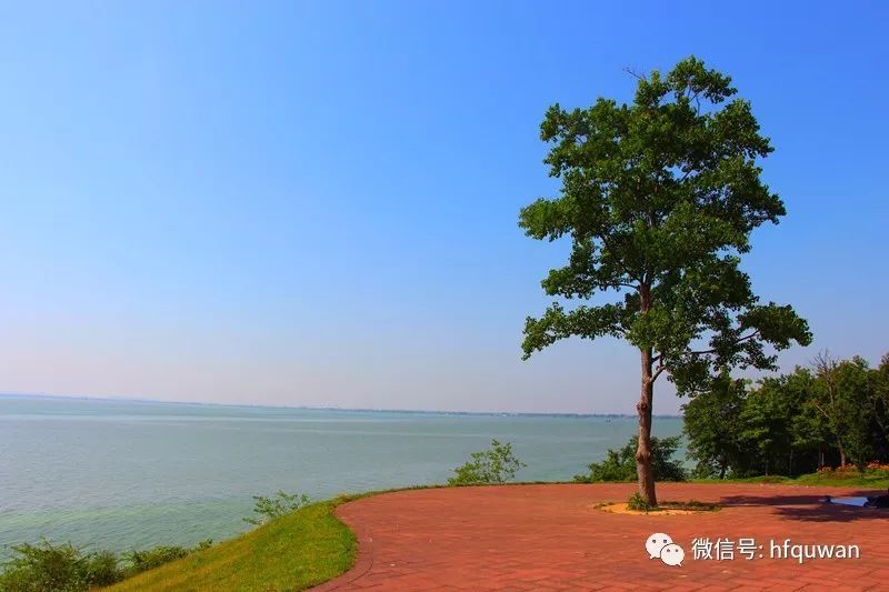 合肥也能看"海"景!网红公园等你去避暑拍美照!