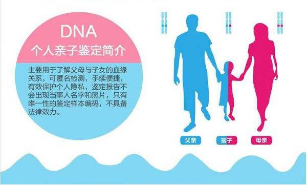 安康亲子鉴定:带你了解不一样的亲子鉴定-天天