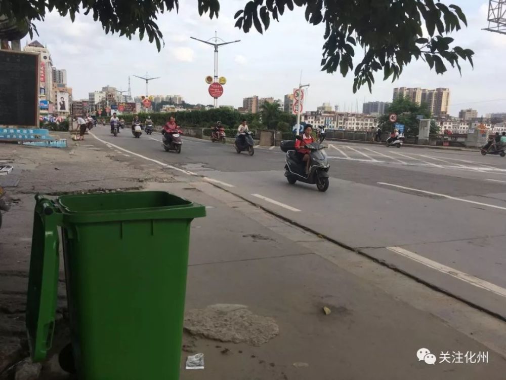 化州上街垌,下郭大道,橘城路,东堤路等路段,惊现一道"绿色风景线"