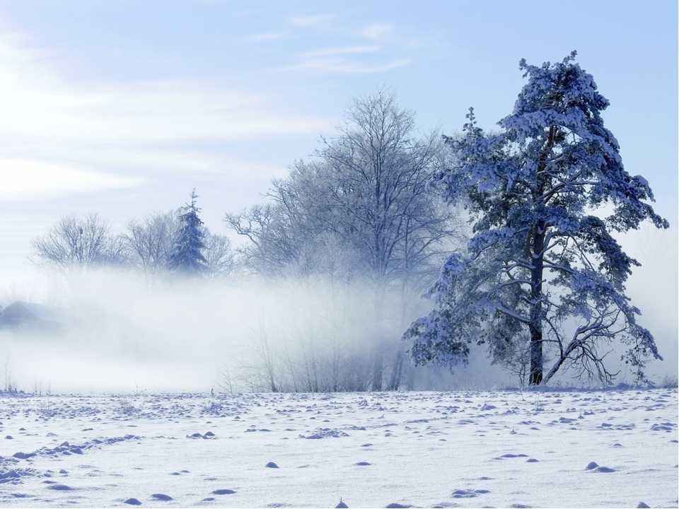 成语雪什么囊