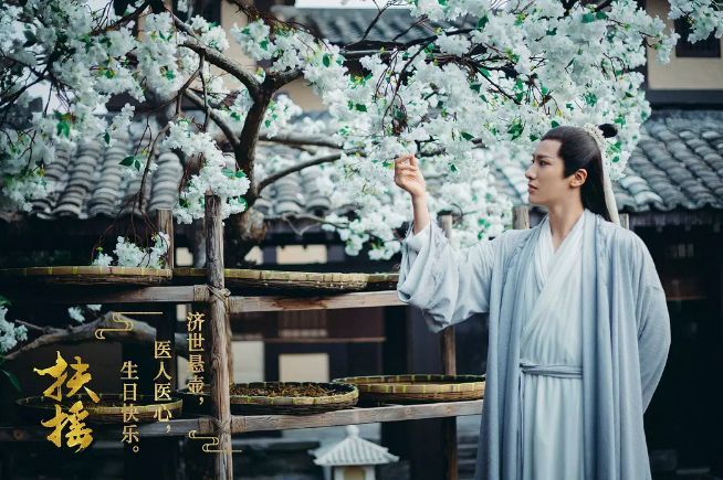 杨幂《扶摇》扑街?演技竟不如19岁时拍的女主