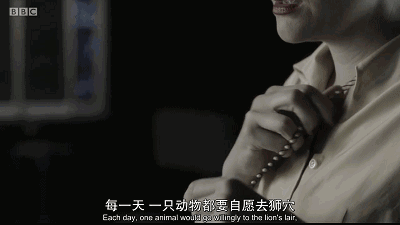 bbc全女性阵容新作,英国百年女性觉醒史
