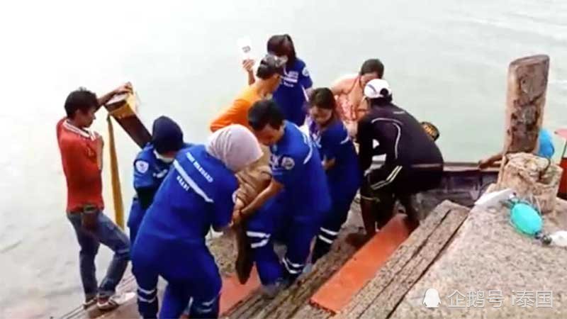 中国游客在泰国又无视警告下海玩水不幸溺毙（组图） - 1