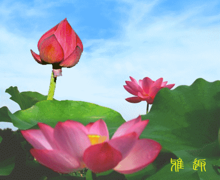 今日夏至,一曲《夏天的思念》送给思念的你,祝你夏日安康,幸福!