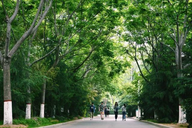 美丽的郑州轻工业学院易斯顿美术学院位于交通便利的郑州东区,地处