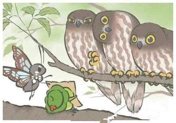 ܻϼҽ飡аɣ֮ܡĶӰ