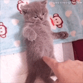 搞笑gif趣图:美女挑战电钻吃玉米被卷头发!哎哟,好心疼!