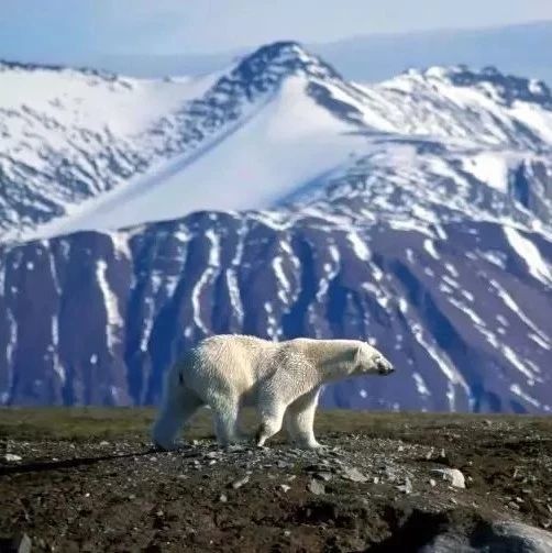 高中地理怎么复习?理清思路,强化记忆才是关键