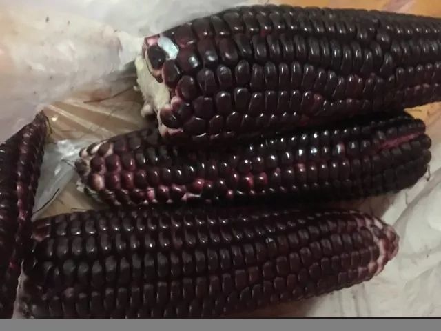 这种玉米在生玉米的时候颜色是深紫红色的,颗粒饱满,中间还有紫黑色的