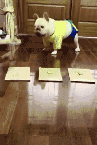 (小卫提醒:赌球有风险,入坑需谨慎!