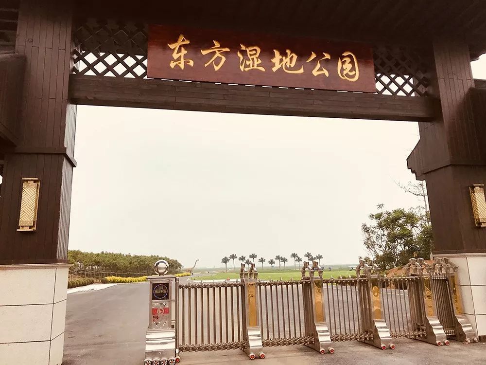 甜程旅行网白女士提供 夏日来临,走进东方湿地公园,游大美湿地,定会让