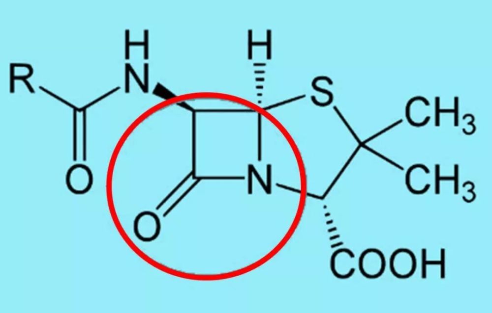 青霉素发现史:被称为二战时期最伟大的发明