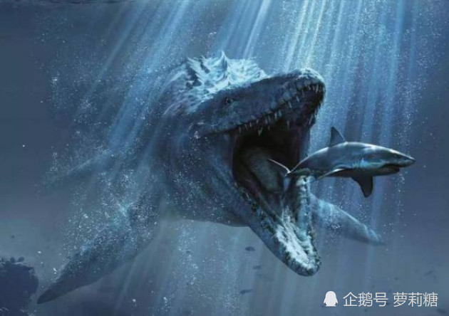 第一部吃了改造恐龙的沧龙,唯一记得很清楚的就是他吃鲨鱼的血盆大口!
