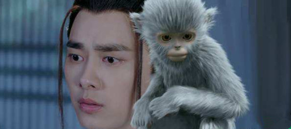 萌物哪家强?与杨幂争宠,叫赵丽颖娘亲,它救周